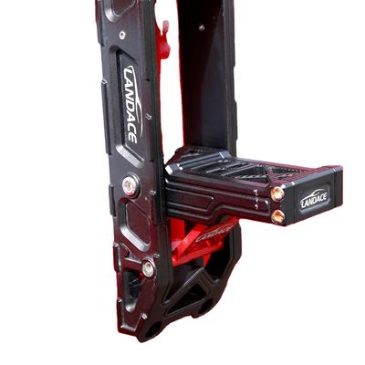 2021- Rok instalacji Land Rover Discovery 4 Auto Side Step dla Ford Expedition 2022